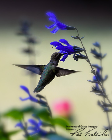 DSC_5011_edited