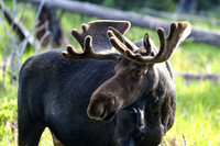 DSC_3209_edited