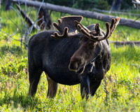 DSC_3213_edited