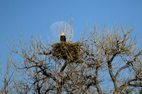 DSC_8449_edited
