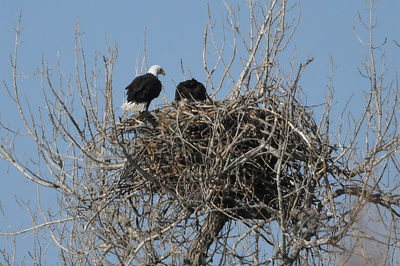 DSC_3584_edited