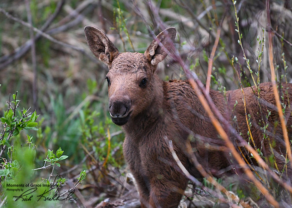 DSC_5479_edited