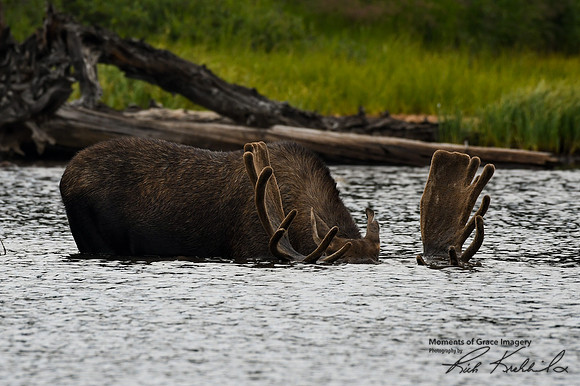 DSC_3516_edited