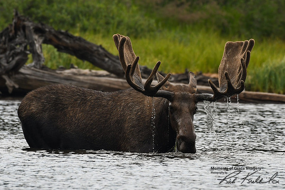 DSC_3521_edited