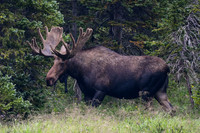 DSC_3590_edited
