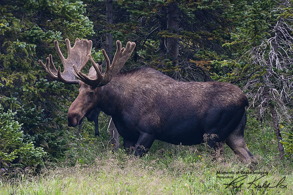 DSC_3590_edited