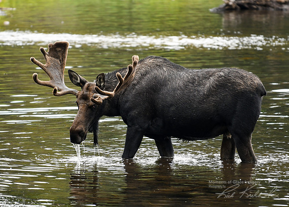 DSC_3445_edited