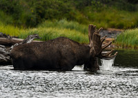 DSC_3497_edited