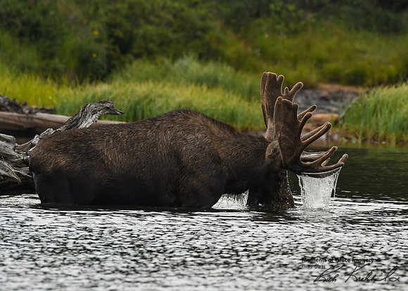 DSC_3497_edited
