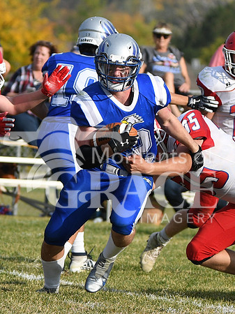 DSC_6019_edited_edited