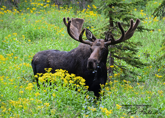 DSC_0641_edited_edited