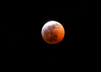Super Wolf Blood Moon - Lunar Eclipse - Jan 21, 2019 - DSC_0623