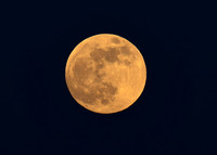 Super Flower Full Moon - May 26, 2021 - DSC_1963