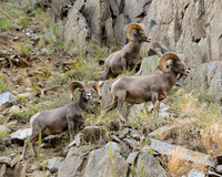 DSC_4760_edited