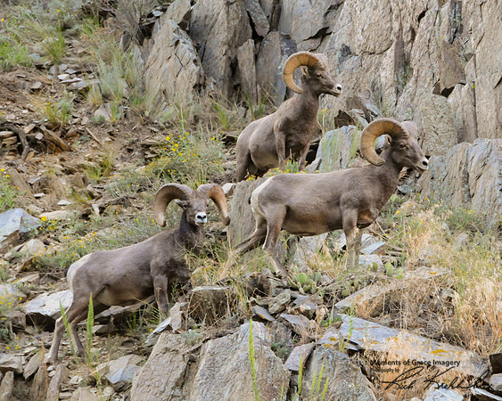 DSC_4760_edited