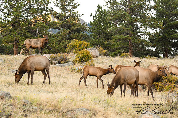 DSC_3081_edited