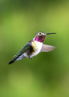 DSC_7224_edited