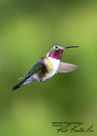 DSC_7224_edited