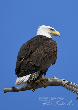DSC_3203_edited - 04/2019