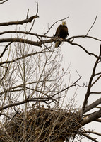 DSC_3048_edited - 5x7-1 - Proud Mama - Triplets - 04/2019