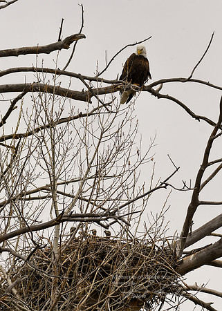 DSC_3048_edited - 5x7-1 - Proud Mama - Triplets - 04/2019