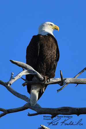 DSC_3399_edited