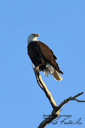 DSC_3541_edited