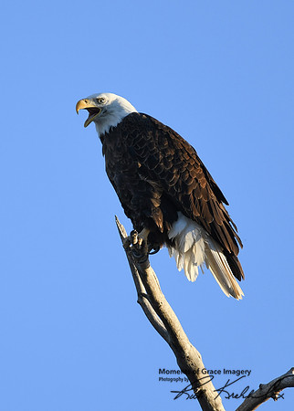 DSC_3545_edited