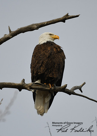 DSC_3889_edited