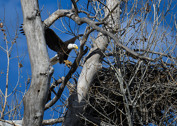 DSC_3953_edited-1