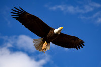 DSC_0741_edited