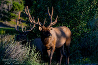 DSC_8828_edited_Watermarked_edited
