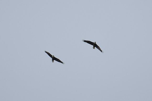 DSC_4006_edited