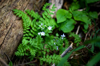 DSC_3045_edited