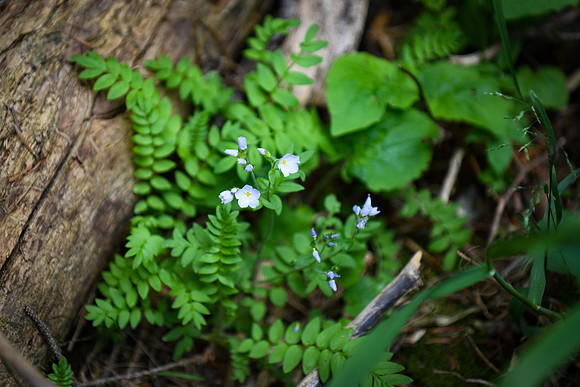 DSC_3045_edited