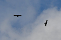 DSC_5047_edited