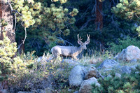 DSC_4822_edited