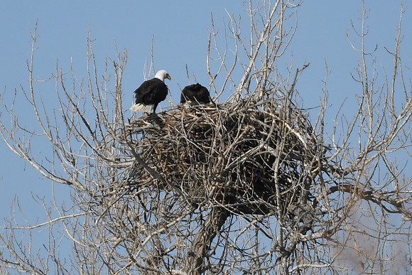 DSC_3586_edited