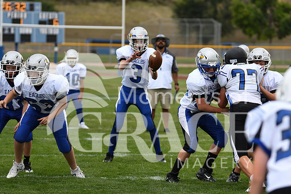 DSC_9796_edited - DCA vs Lyons