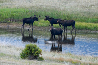 DSC_5232_edited
