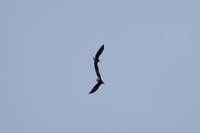 DSC_4000_edited