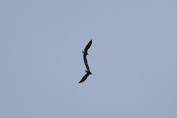 DSC_4000_edited