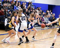 DSC_7590_edited - Kylie Van Iddekinge - DCA vs Sargent - Regional Final