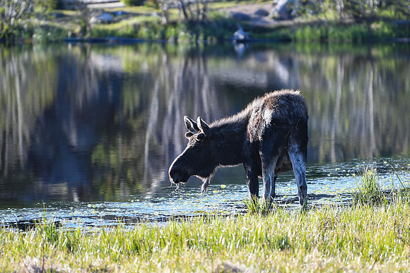 DSC_6467_edited
