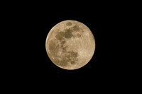 DSC_4761_edited