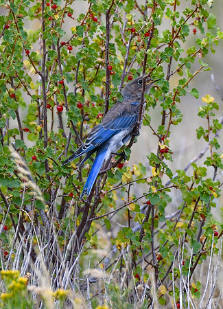DSC_4916_edited