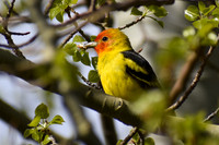 DSC_0136_edited