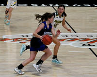 DSC_8446_edited