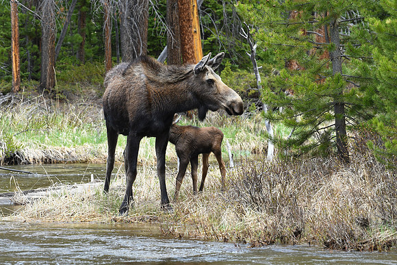 DSC_6849_edited