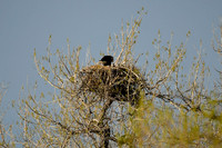 DSC_5844_edited